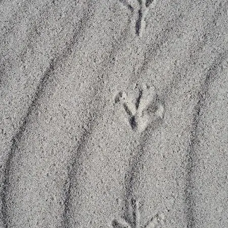 Haus Ebel * Putgarten