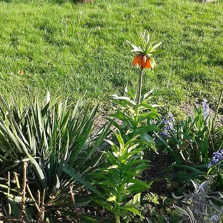 Haus Ebel * Putgarten