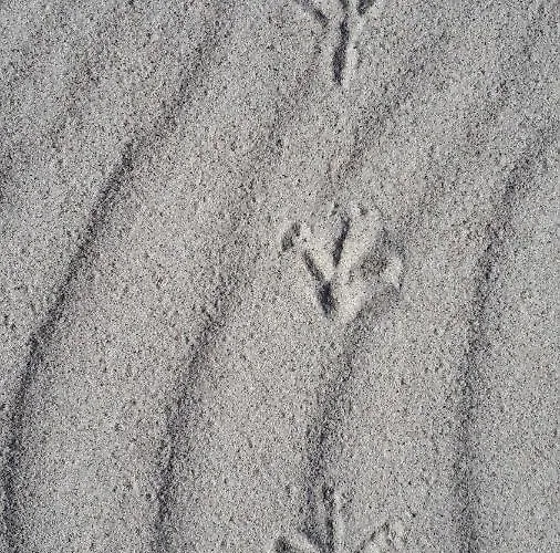 Haus Ebel * Putgarten