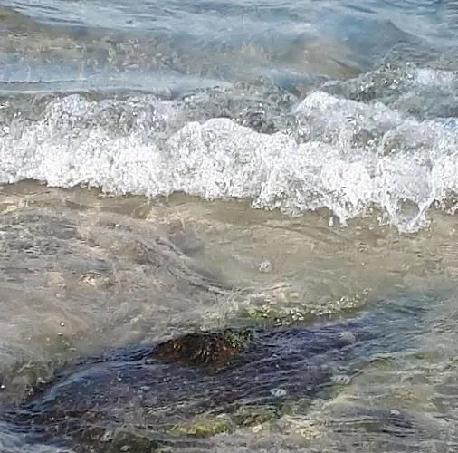 Haus Ebel 民宿 Putgarten