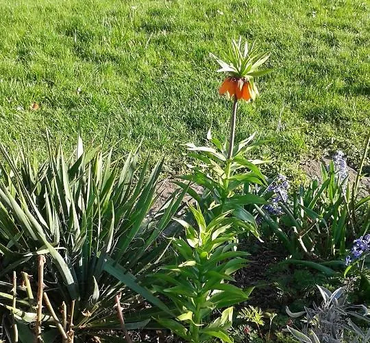 Haus Ebel * Putgarten